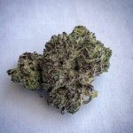 Blackberry Kush