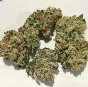 Skunk Hybrid