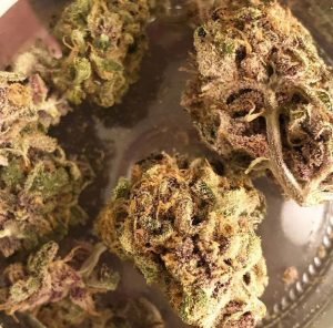 Grape Ape Weed