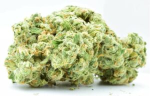 Best Hybrid Marijuana Strains